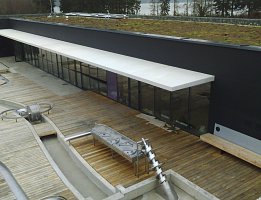 Ostatní 36